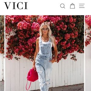 Vici Women’s overalls. Size 4.